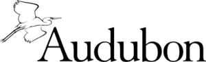 Audubon magazine